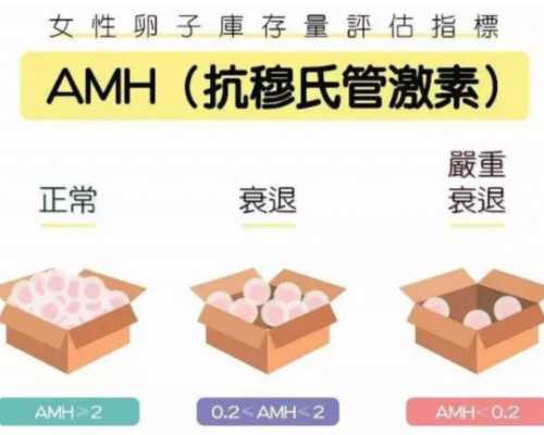 2026
郑州供卵助孕机构排名公布附郑州最大的供卵机构详情_代怀靠谱医院