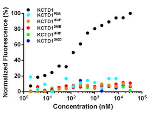 郑州借卵生子包生男孩 郑州做试管男孩包成功是真的吗? ‘孕16周三维看男女’