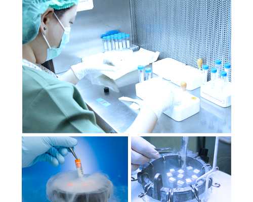 2026
郑州供卵助孕机构排名公布，附郑州最大的供卵机构详情-唐筛结果看男女