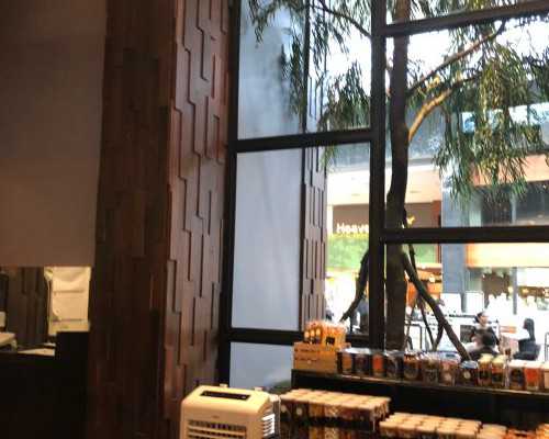 肥胖对怀孕的影响肥胖女性该如何备孕