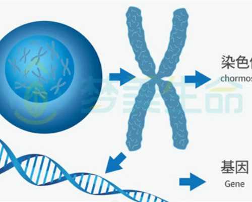 备孕能吃杏仁吗孕初期可以吃杏仁坚果吗~人工代孕公司