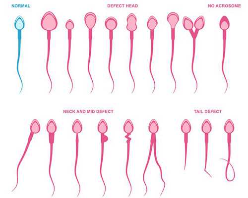 2026
郑州供卵助孕机构排名公布附郑州最大的供卵机构详情_孕晚期注意事项