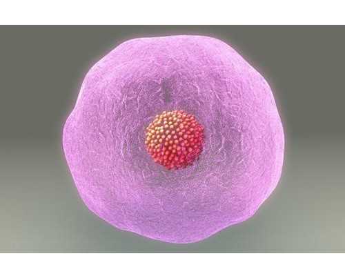 2026郑州供卵助孕机构排名公布,附郑州最大的供卵机构详情-戒杀放生诗40首