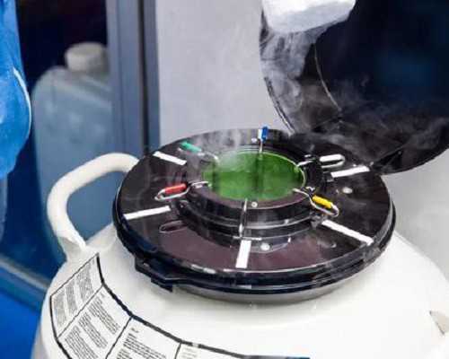 试管促排大卵泡数目较少怎么办泰国试管养囊胚成功率~同性代怀生子