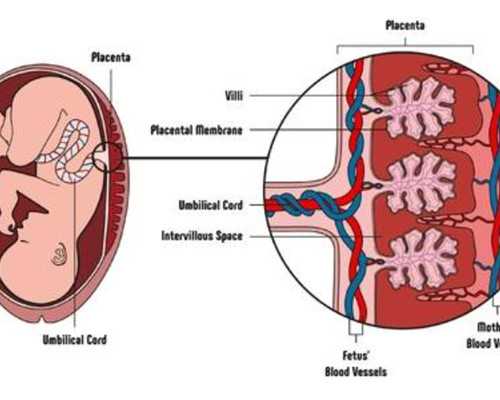 准备下半年怀浙江助孕，需要正常备孕几个月就会怀孕呢