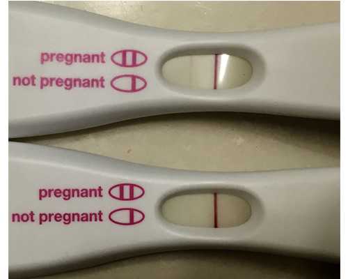 2026
郑州供卵助孕机构排名公布，附郑州最大的供卵机构详情_供卵哪家最好