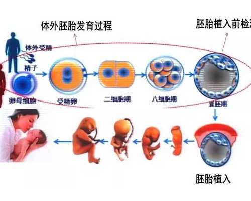 商洛不孕不育哪家医院的最好-商洛治妇科哪个医院好~供卵代怀流程
