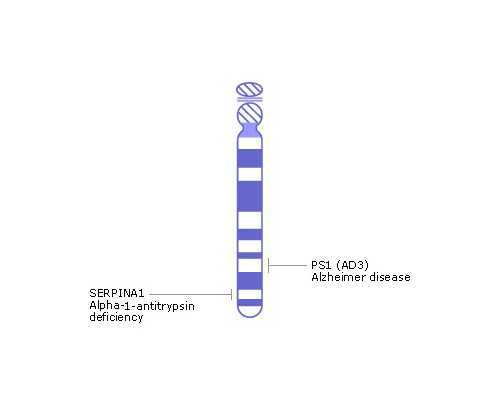 流感疫苗影响怀孕吗,打完流感疫苗怀孕了浙江助孕能要吗
