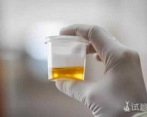 怀孕是顺其自然还是积极备孕？想要生健康浙江助孕，可别犯傻！