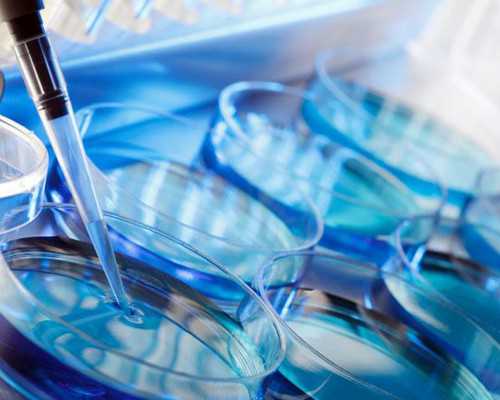 郑州借卵子生子可行吗 郑州做试管婴儿可以报销吗? ‘双顶径跟股骨长看男女’