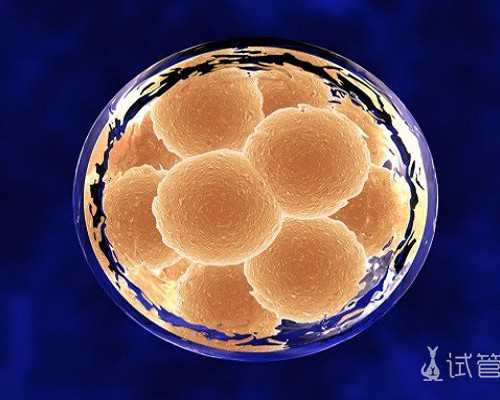 多囊卵巢来月经不正常可以做试管婴儿成功怀上浙江助孕吗