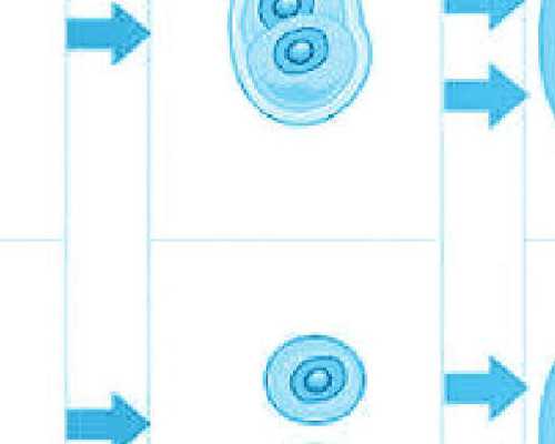 2026
郑州供精试管婴儿流程?,郑州做供精试管婴儿需要多少钱?_助孕供卵收费