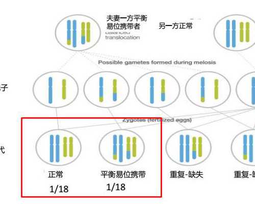 郑州代生公司有吗 郑州大学第一附属医院 ‘唐筛单子怎么看男女宝宝知道的’