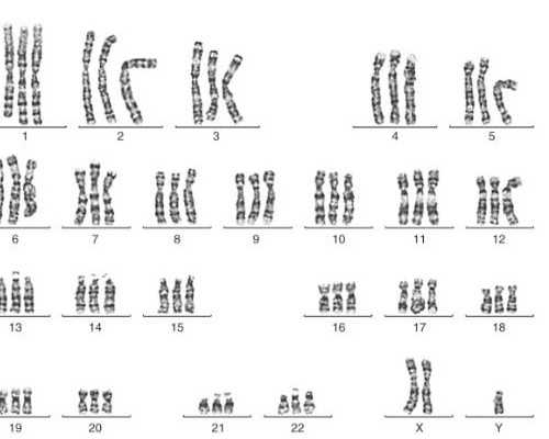 郑州代怀孕产子网,哪些国家可以做第三代试管婴儿？有什么差别？_上海供卵试
