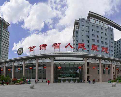 湘潭市中心医院借卵做试管供卵多少钱?20万够不够