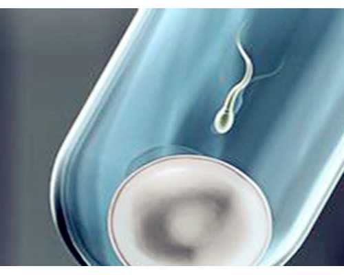 郑州有便宜代怀 郑州大学第二附属医院供卵难等的原因 ‘看nt图看男女准吗’