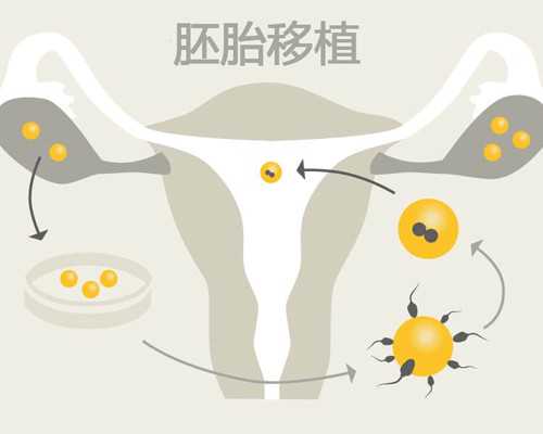 郑州代怀哪家好,【北京供卵试管费用多少钱】早餐还有很多做法宝妈可以按自