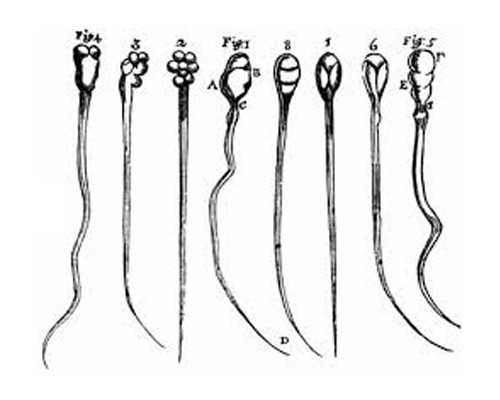 怀孕是顺其自然还是积极备孕?想要生健康浙江助孕,可别犯傻!