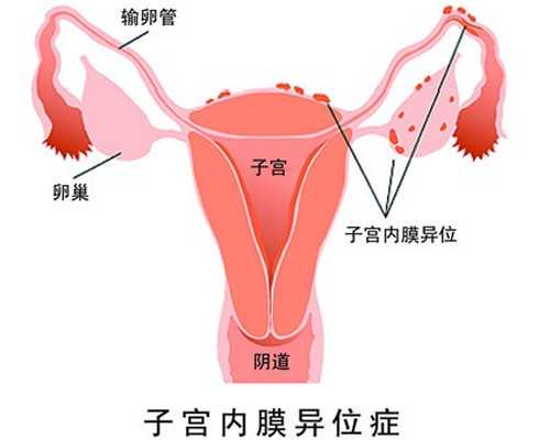 怎样备孕才能生健康浙江助孕?备孕需要做些什么准备?