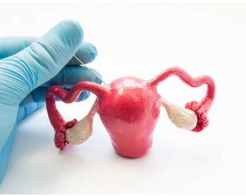 2026
郑州供卵助孕机构排名公布附郑州最大的供卵机构详情-借卵试管医院