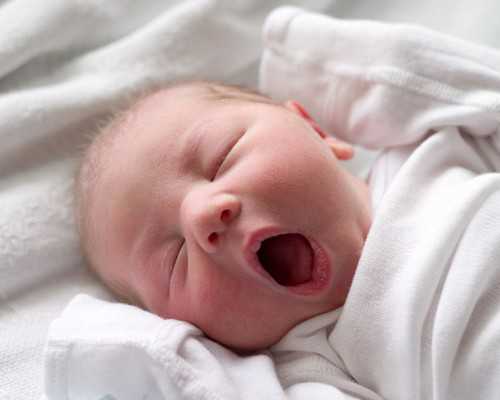 想生2026年的虎浙江助孕要几月开始备孕-从现在就要开始