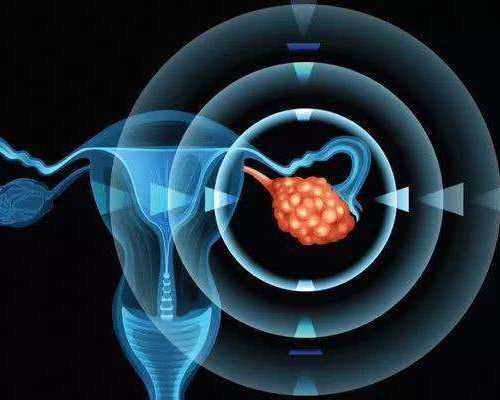 郑州好的助孕机构有哪些,郑州助孕机构排名(北京供卵机构有哪些)_大连代孕