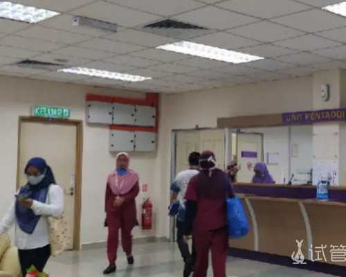 多囊卵巢来月经不正常可以做试管婴儿成功怀上浙江助孕吗