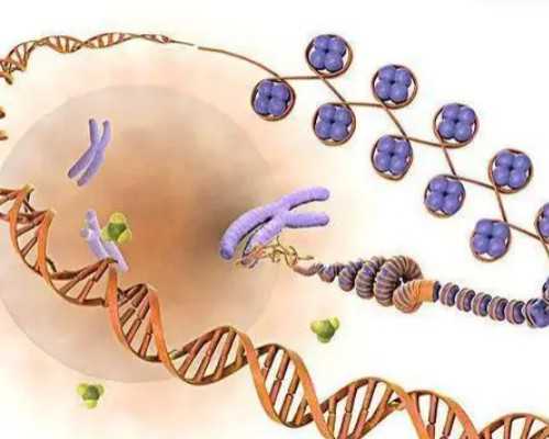 浙江助孕绿便怎么改善,浙江助孕腹泻该怎么喂养