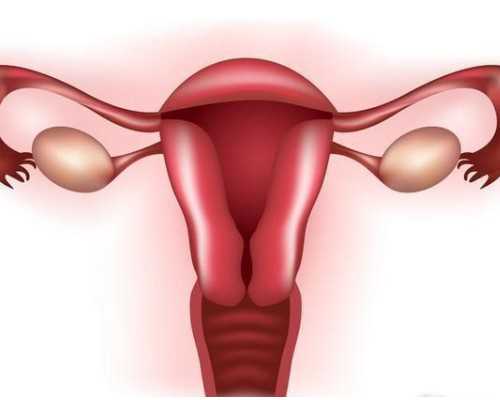 子宫小能怀孕吗,子宫小可不可以怀上浙江助孕?