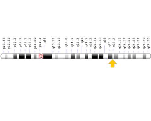 郑州哪做供精试管,郑州试管机构电话