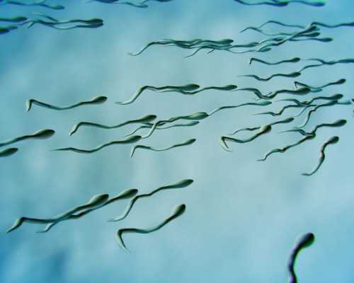 怀孕两个月HCG正常值是多少~助孕公司机构