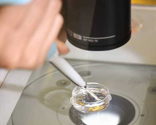 准备下半年怀浙江助孕,需要正常备孕几个月就会怀孕呢