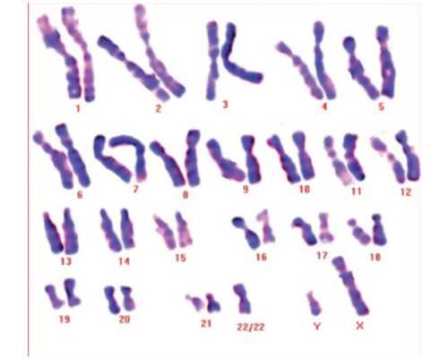 流感疫苗影响怀孕吗，打完流感疫苗怀孕了浙江助孕能要吗