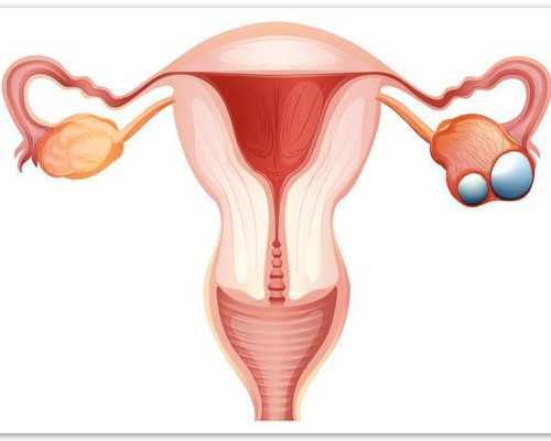 郑州供精试管哪个医院最好,郑州供精试管婴儿要多久-在代孕包成功套餐