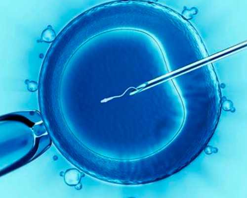 2026
郑州供卵助孕机构排名公布附郑州最大的供卵机构详情_代怀价格明细