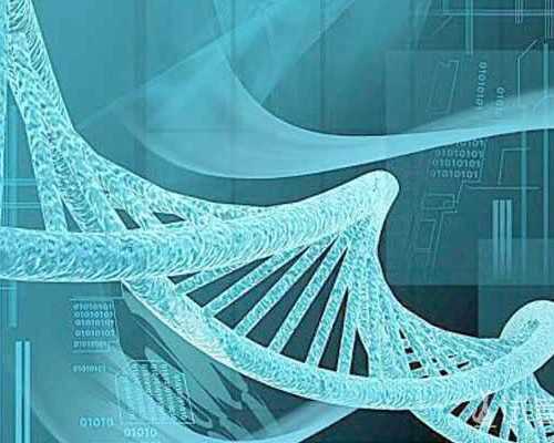 2026南宁市第二人民医院三代试管生双胞胎费用一览,附试管费用明细介绍