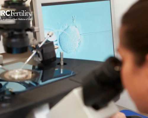 多囊卵巢来月经不正常可以做试管婴儿成功怀上浙江助孕吗