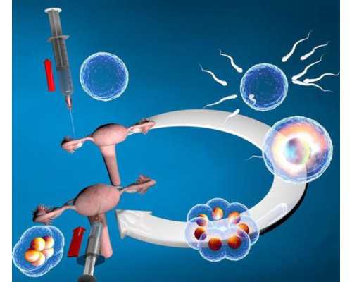怀孕是顺其自然还是积极备孕？想要生健康浙江助孕，可别犯傻！