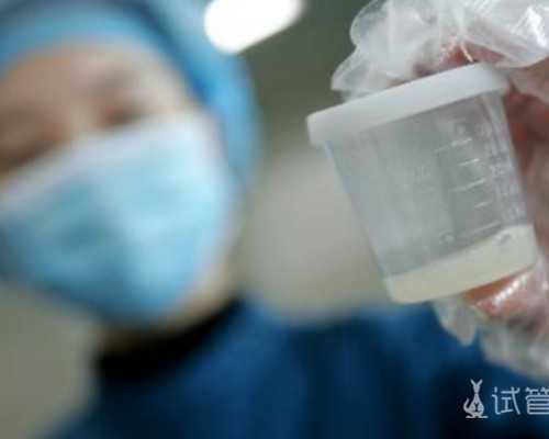 郑州供卵流程是怎样的 郑州做试管婴儿哪个医院技术好? ‘19周的彩超看男女’