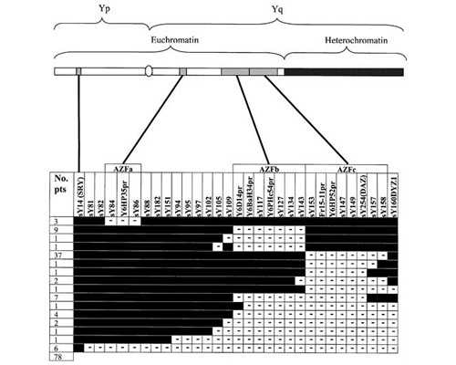 2026
郑州供卵助孕机构排名公布附郑州最大的供卵机构详情-代孕哪最权威