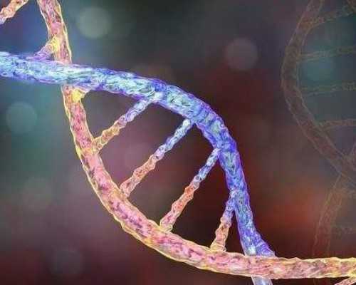 为什么会得宫外孕？可以预防吗？