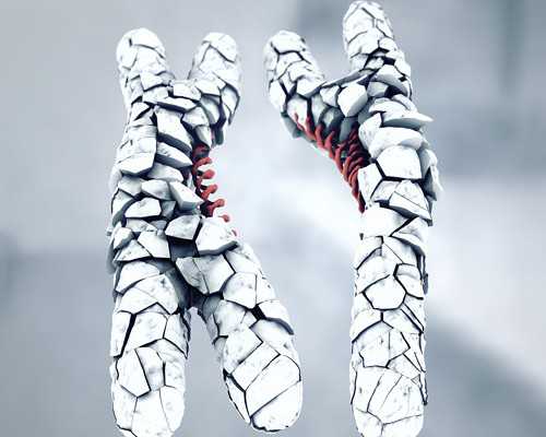 怎样备孕才能生健康浙江助孕?备孕需要做些什么准备?