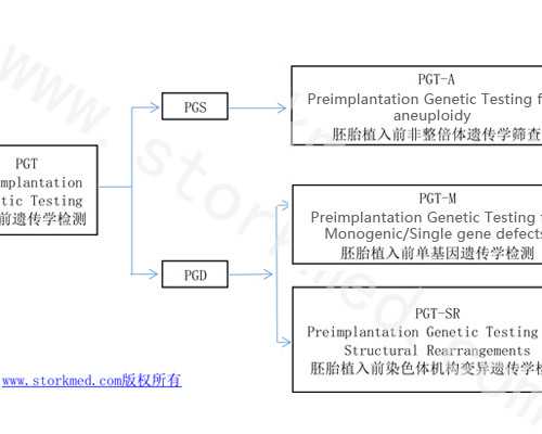 郑州代孕医院中心,行前调理是如何帮你提升试管婴儿成功率的-2026年，中国正规