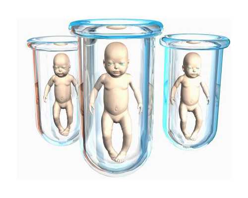 2026
郑州供卵助孕机构排名公布，附郑州最大的供卵机构详情_代孕机构最好