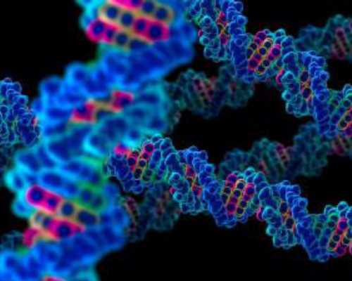 浙江助孕绿便怎么改善，浙江助孕腹泻该怎么喂养