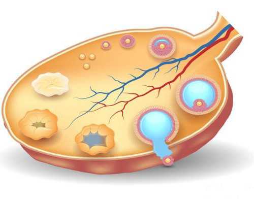 2026
郑州供卵助孕机构排名公布，附郑州最大的供卵机构详情-代生孩子费用