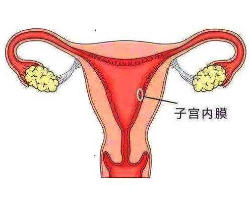 2026
郑州供卵助孕机构排名公布附郑州最大的供卵机构详情_代生哪家正规