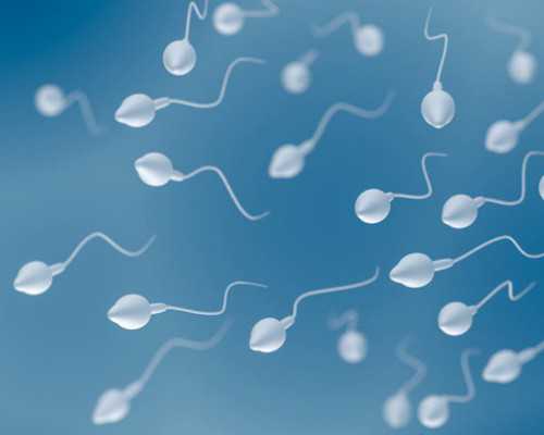 2026
郑州供卵助孕机构排名公布附郑州最大的供卵机构详情-代生机构电话