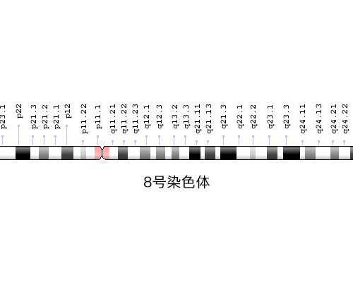 备孕二胎想生虎浙江助孕,六大方法教你快速怀孕