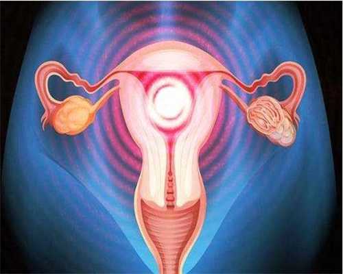地下供卵哪家靠谱-浙江代孕程序_统计精子异常导致不孕的原因